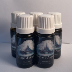 5 bouteilles Brume d'asgard...